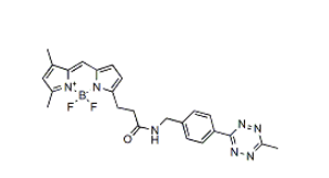 BDP FL methyltetrazine