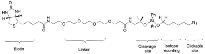 DADPS H2/D2 Biotin Alkyne Pack