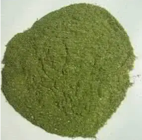 Indocyanine Green 