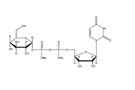 Glucose-UDP-(PEG)6-Fluorescein Conjugate