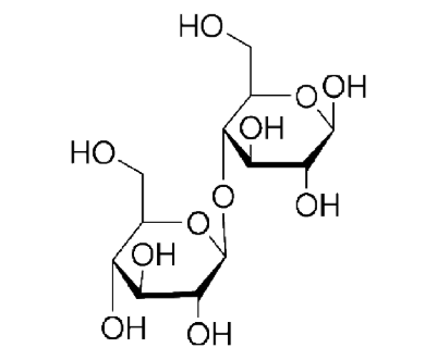 纤维二糖