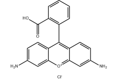 罗丹明标记肽