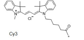 Cy3 