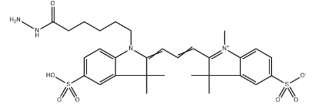 Sulfo-Cy3 hydrazide