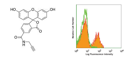 FITC-conjugated Streptavidin