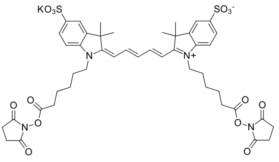 磺酸基Cy5 bis-活性酯