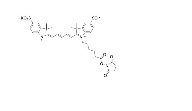 Cy5