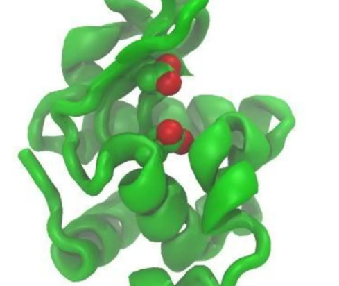 lysozyme