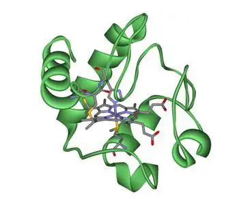 Cytochrome c