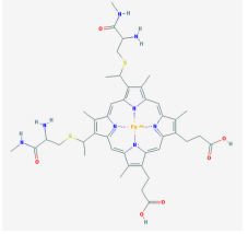 Cytochrome c