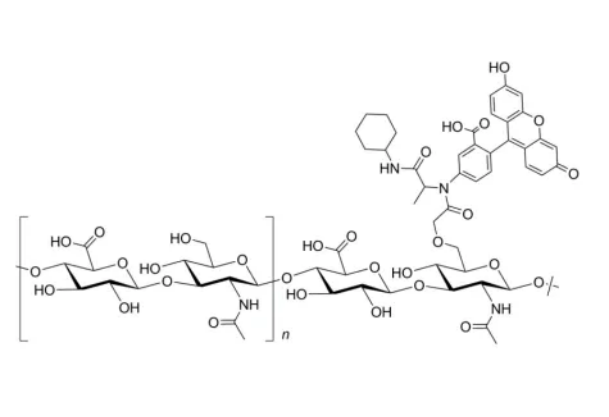 FITC-Hyaluronate