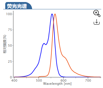 Cy3-amine,Cy3-NH2,Cy3-氨基,cas:2247688-56-6