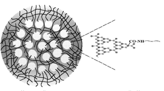 PEG/g-C3N4量子点