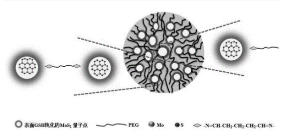 PEG/MoS量子点