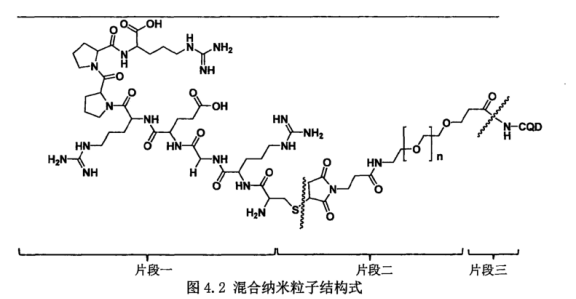 Mal-PEG-NHS偶联碳量子点