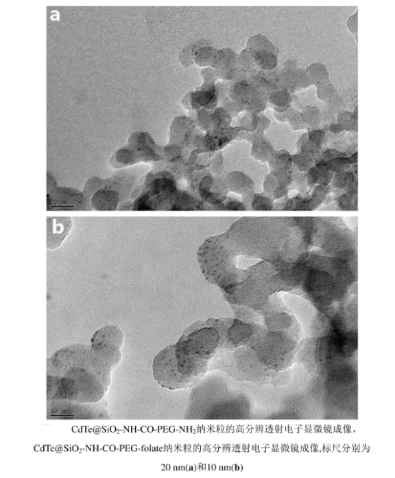 CdTe@SiO2-NH-CO-PEG-folate