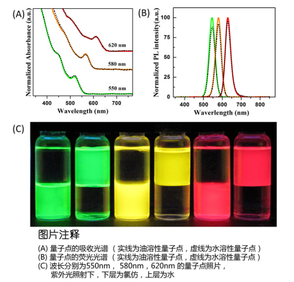 CdSe/ZnS量子点