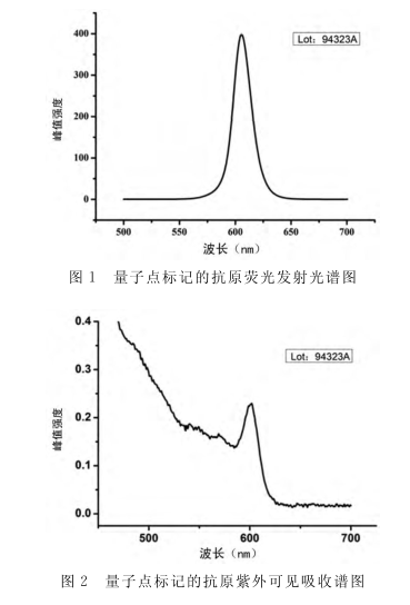 量子点(PEG)标记EBNA1抗原