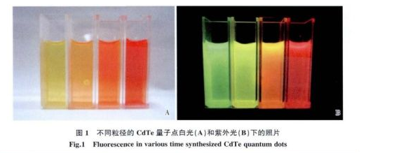 CdTe发光量子点