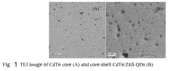 CdTe/ZnS量子点