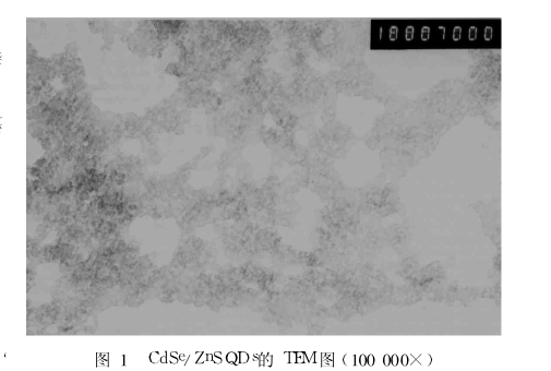 CdSe/ZnS量子点