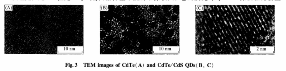 SiO2-QD-Ab2