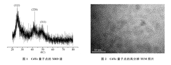 CdTe量子点