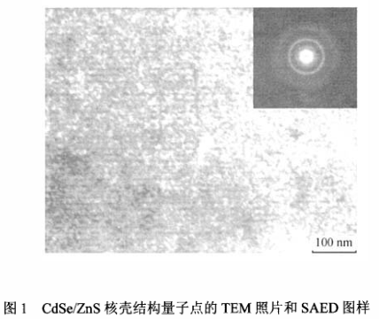 硒化镉/硫化锌(CdSe/ZnS)量子点