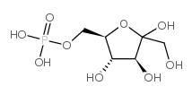 udp木糖