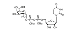 UDP-半乳糖