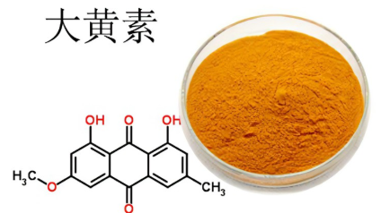 大黄素