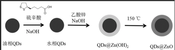 掺杂钆(Gd)的ZnO量子点偶联硼霉素