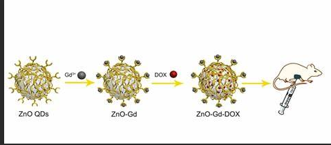 Gd@ZnO量子点表面修饰阿霉素