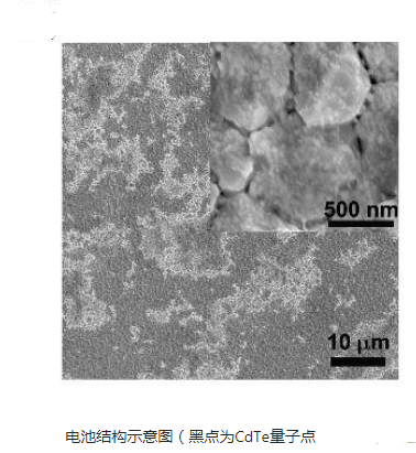 碲化镉量子点偶联喜树碱