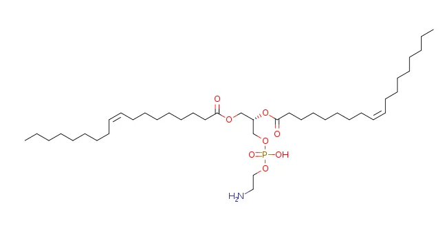 二油酰磷脂酰乙醇胺