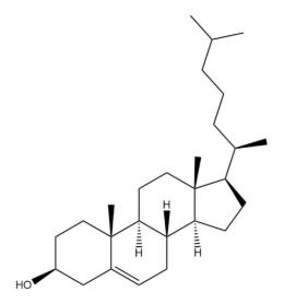 胆固醇-