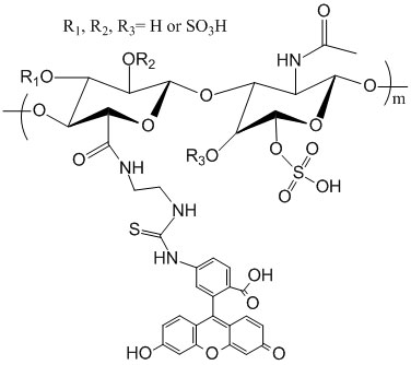 绿色荧光素标记硫酸软骨素