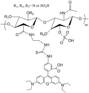 红色荧光素标记硫酸软骨素