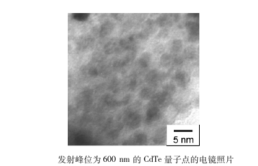 CdTe量子点标记雌二醇衍生物