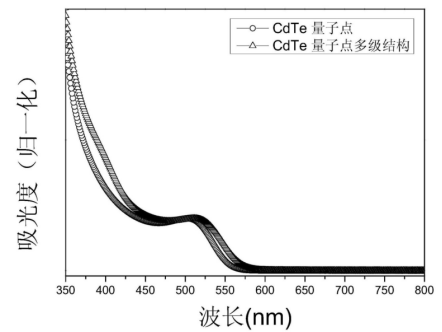 CLV3十二肽修饰CdTe量子点