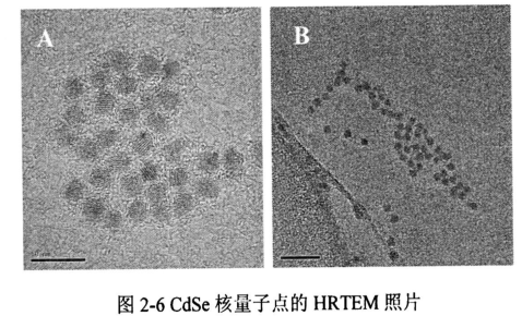 抗菌肽-CdSe量子点