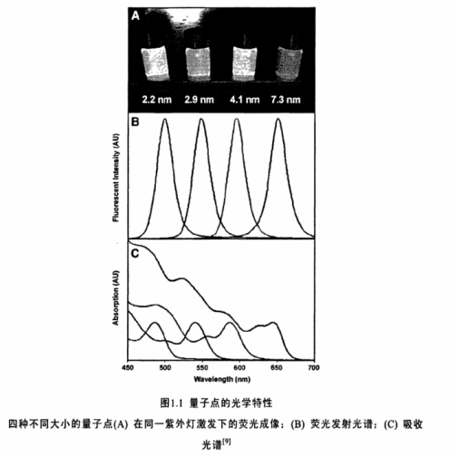 RGD肽修饰近红外水溶性CdTe量子点