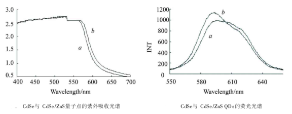 聚丙烯酸包覆CdSe/ZnS(碲化镉/硫化硒锌)量子点偶联人IgG蛋白分子