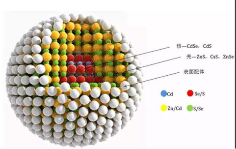 细胞核靶向TAT多肽修饰碳化钒(V2C)量子点(QDs)