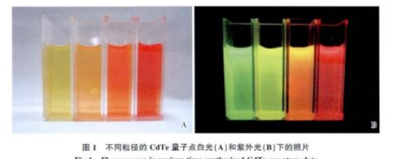 近红外发光碲化镉量子点偶联RGD多肽