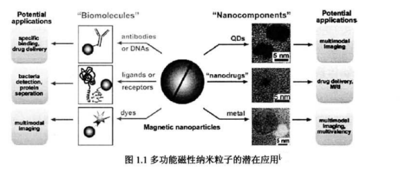 Fe304磁性/ZnS量子点