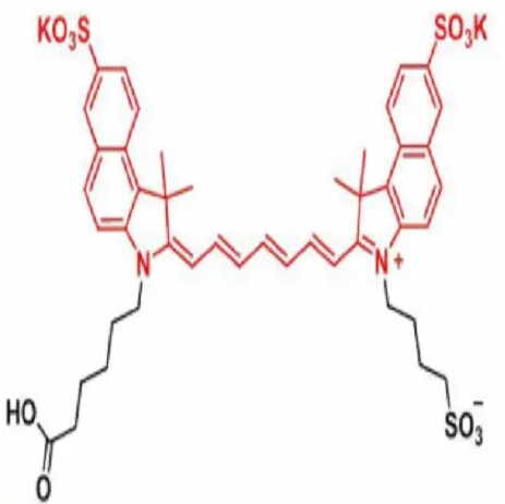 DBCO-trisulfo-ICG