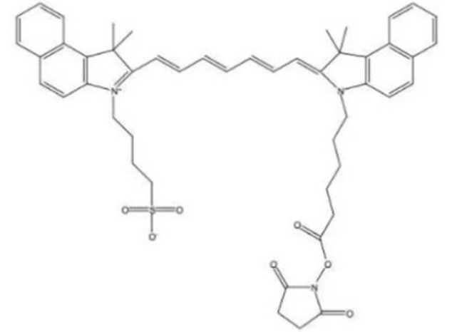 ICG-Isothiocyanate