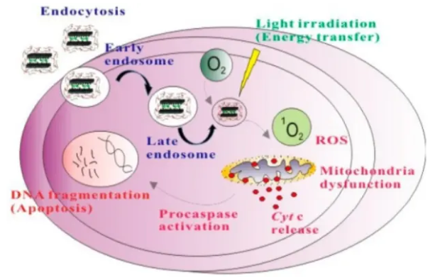 OPSS-PEG-ICG