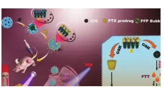 ICG-PEG5-NH2